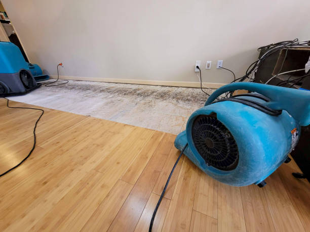 Professional Structural Drying technician working in Rancocas, NJ